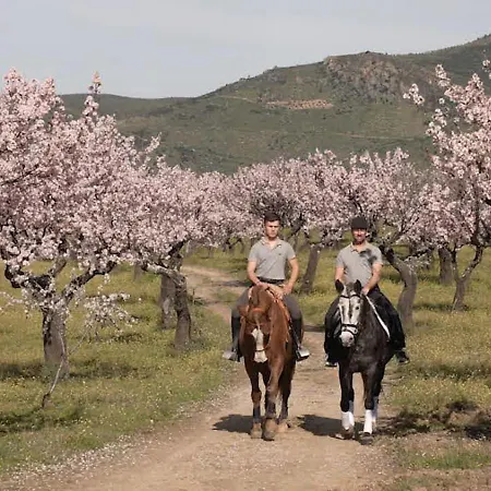 شقة Portucale ! Countryside Gem Moncorvo توري دي مونكورفو