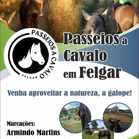 Apartment Portucale ! Countryside Gem Moncorvo