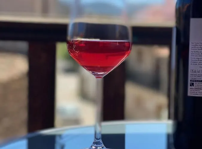 Portucale ! Countryside Gem Moncorvo Apartamento Torre De Moncorvo