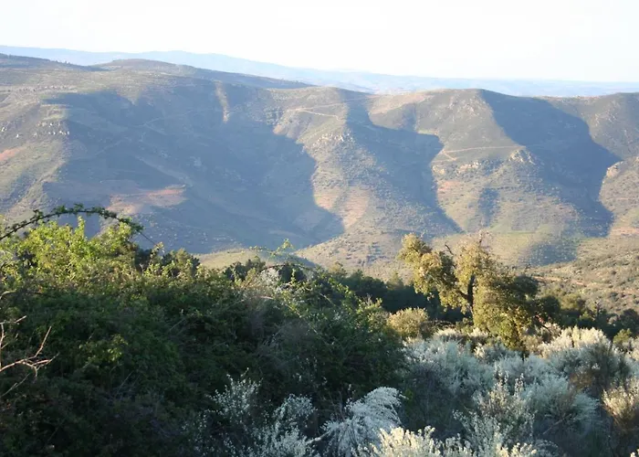 Apartamento Portucale ! Countryside Gem Moncorvo Torre De Moncorvo