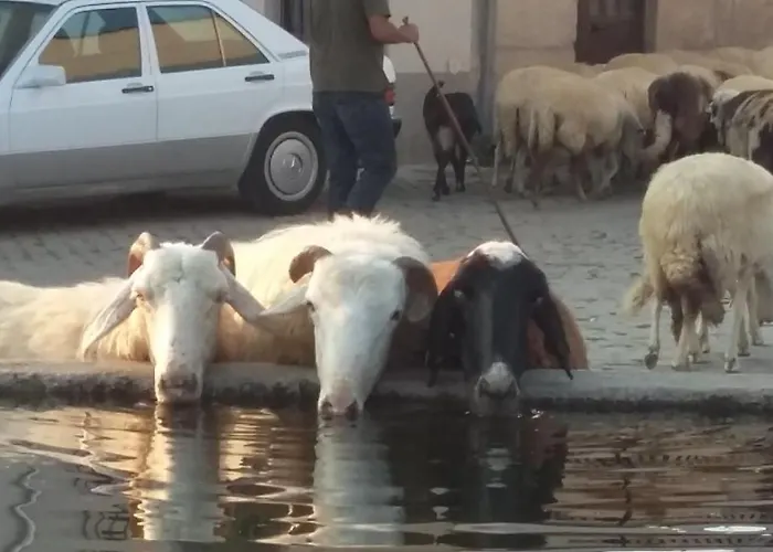 Portucale ! Countryside Gem Moncorvo Apartamento Torre De Moncorvo