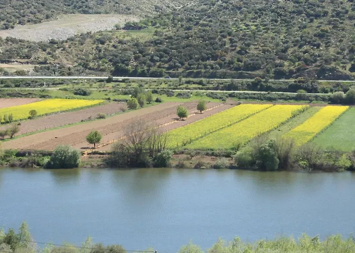 Portucale ! Countryside Gem Moncorvo Appartement