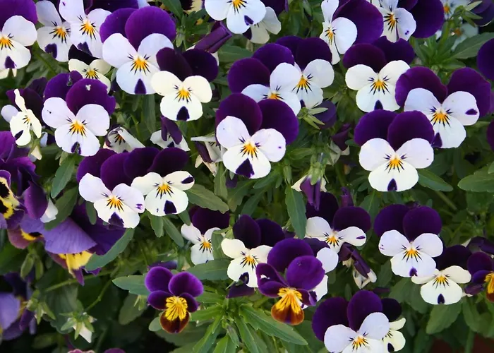 Portucale ! Countryside Gem Moncorvo Torre De Moncorvo