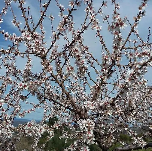 Portucale ! Countryside Gem Moncorvo