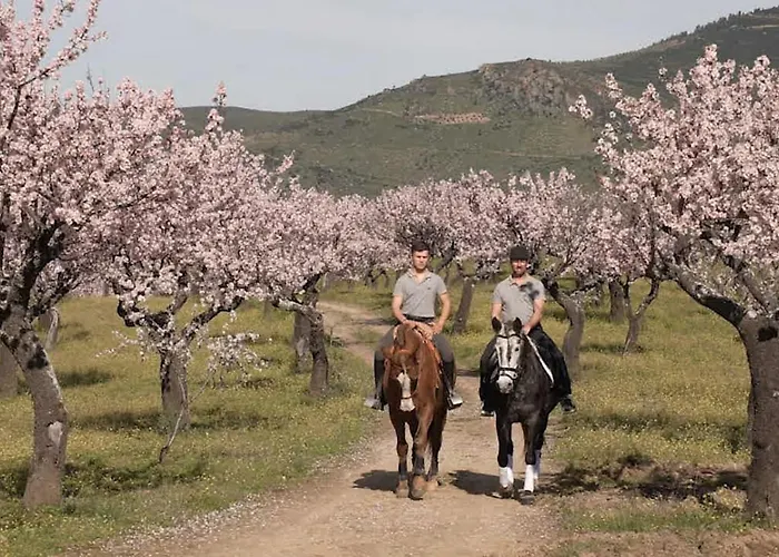 Apartamento Portucale ! Countryside Gem Moncorvo Torre De Moncorvo