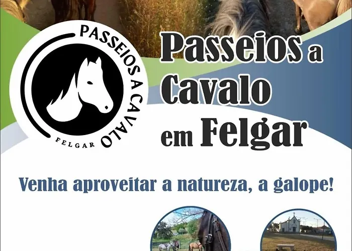 Apartamento Portucale ! Countryside Gem Moncorvo